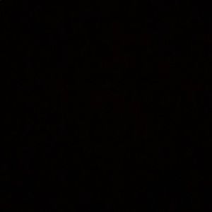 Meet your Posher, Sophia